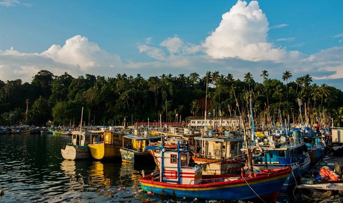 注冊斯里蘭卡公司